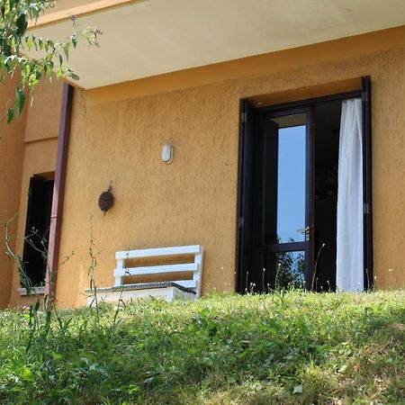 B&B Drusilla Garden Soiano Del Lago Extérieur photo